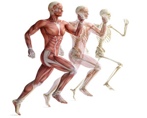 Dr. Lance McClintock